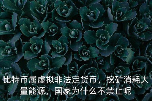比特幣屬虛擬非法定貨幣，挖礦消耗大量能源，國(guó)家為什么不禁止呢