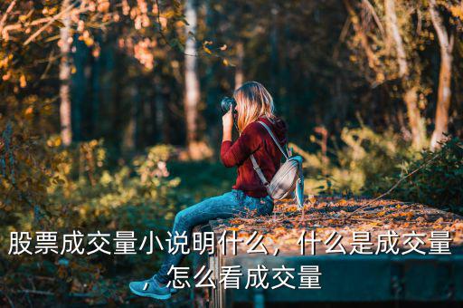股票成交量小說明什么，什么是成交量，怎么看成交量
