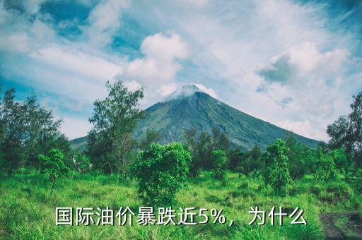 國際油價(jià)暴跌近5%，為什么