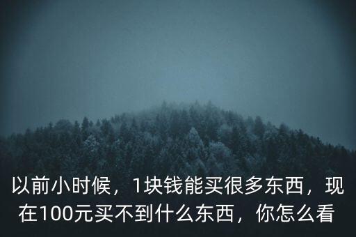 以前小時(shí)候，1塊錢能買很多東西，現(xiàn)在100元買不到什么東西，你怎么看