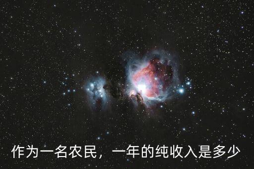 作為一名農(nóng)民，一年的純收入是多少