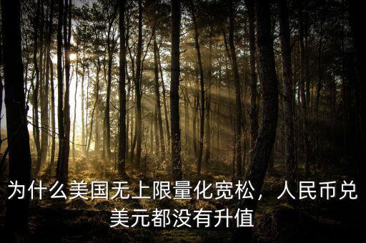 為什么美國(guó)無(wú)上限量化寬松，人民幣兌美元都沒有升值