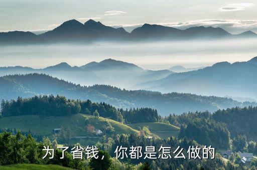 為了省錢，你都是怎么做的