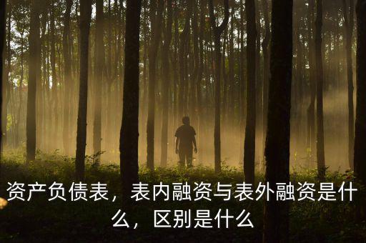 資產(chǎn)負(fù)債表，表內(nèi)融資與表外融資是什么，區(qū)別是什么
