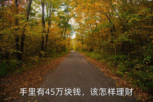 手里有45萬塊錢，該怎樣理財(cái)