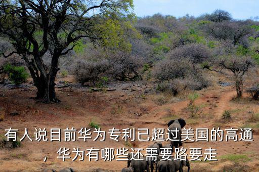 有人說(shuō)目前華為專利已超過(guò)美國(guó)的高通，華為有哪些還需要路要走
