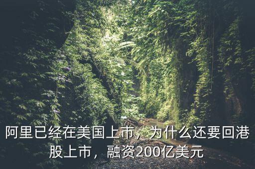 阿里已經在美國上市，為什么還要回港股上市，融資200億美元