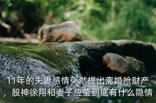 11年的夫妻感情突然提出離婚搶財產，股神徐翔和妻子應瑩到底有什么隱情
