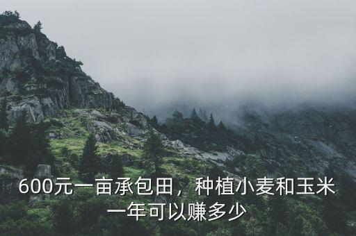 600元一畝承包田，種植小麥和玉米一年可以賺多少