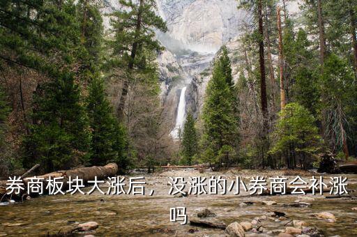 券商板塊大漲后，沒漲的小券商會補(bǔ)漲嗎