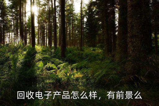 回收電子產(chǎn)品怎么樣，有前景么