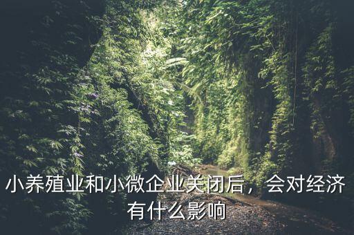 小養(yǎng)殖業(yè)和小微企業(yè)關(guān)閉后，會對經(jīng)濟有什么影響
