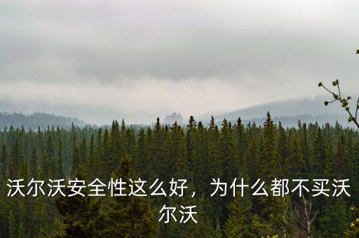 沃爾沃安全性這么好，為什么都不買沃爾沃