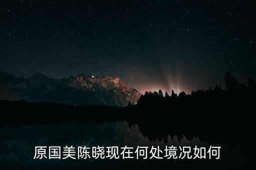 國美陳曉目前在做什么,原國美陳曉現在何處