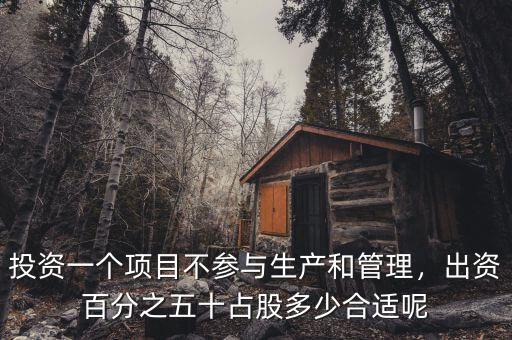 投資一個項目不參與生產(chǎn)和管理，出資百分之五十占股多少合適呢