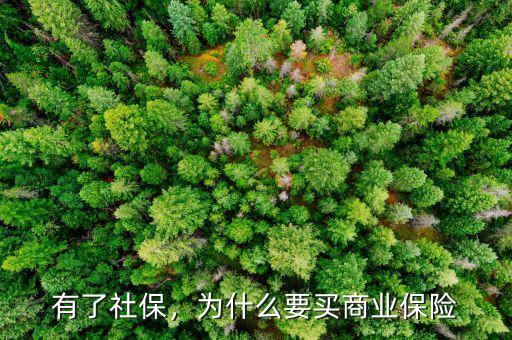 有了社保，為什么要買商業(yè)保險