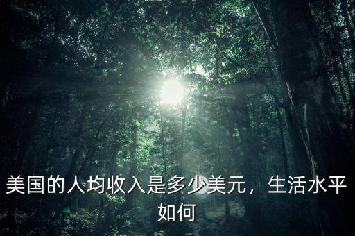 美國(guó)的人均收入是多少美元，生活水平如何