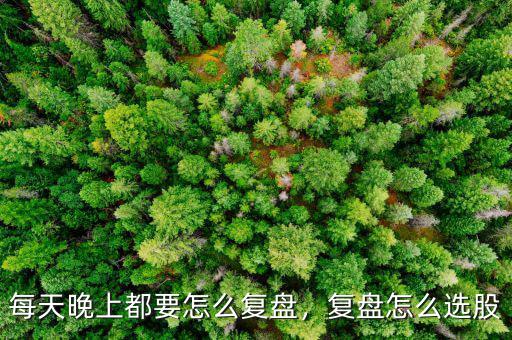 每天晚上都要怎么復盤，復盤怎么選股