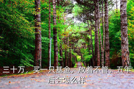 三十萬，買一只基金，放著不管，五年后會(huì)怎么樣