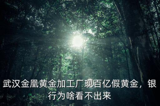 武漢金凰黃金加工廠現(xiàn)百億假黃金，銀行為啥看不出來