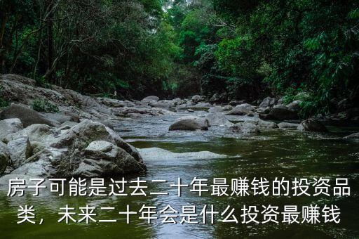 房子可能是過去二十年最賺錢的投資品類，未來二十年會(huì)是什么投資最賺錢