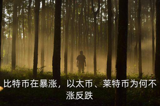 比特幣在暴漲，以太幣、萊特幣為何不漲反跌