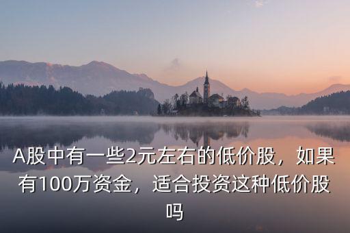 A股中有一些2元左右的低價股，如果有100萬資金，適合投資這種低價股嗎