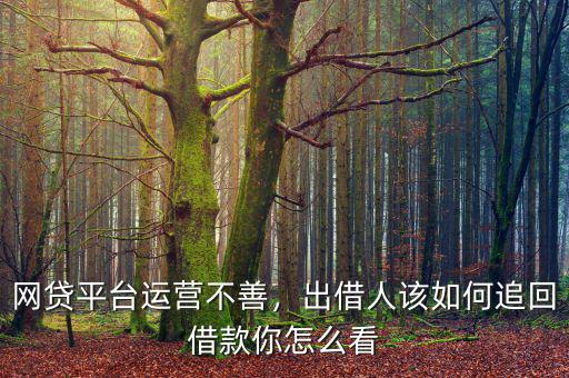 網(wǎng)貸平臺(tái)運(yùn)營(yíng)不善，出借人該如何追回借款你怎么看