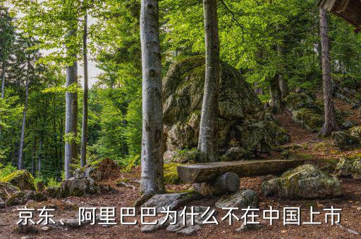 京東、阿里巴巴為什么不在中國(guó)上市