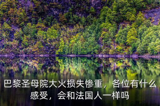 巴黎圣母院大火損失慘重，各位有什么感受，會(huì)和法國(guó)人一樣嗎