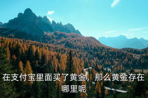 在支付寶里面買了黃金，那么黃金存在哪里呢