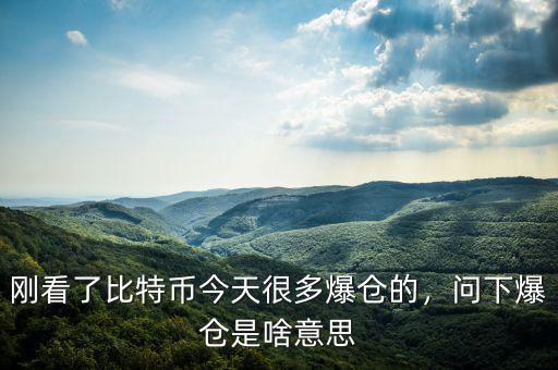 剛看了比特幣今天很多爆倉的，問下爆倉是啥意思