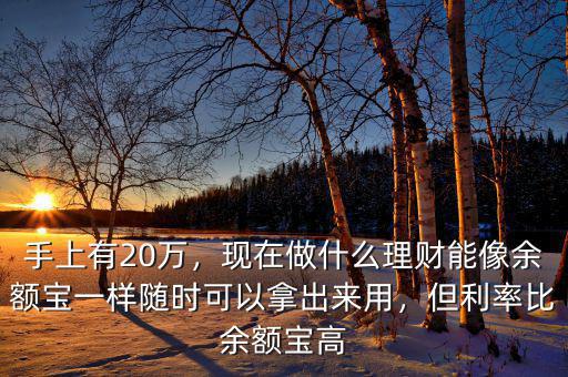 手上有20萬，現(xiàn)在做什么理財能像余額寶一樣隨時可以拿出來用，但利率比余額寶高
