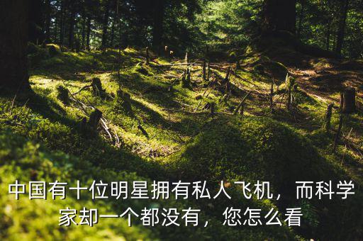中國(guó)有十位明星擁有私人飛機(jī)，而科學(xué)家卻一個(gè)都沒(méi)有，您怎么看