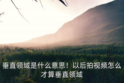 垂直領(lǐng)域是什么意思！以后拍視頻怎么才算垂直領(lǐng)域