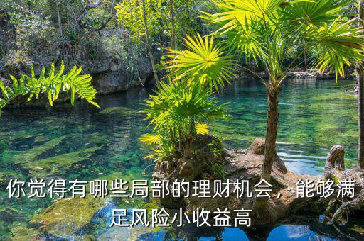你覺得有哪些局部的理財機會，能夠滿足風(fēng)險小收益高