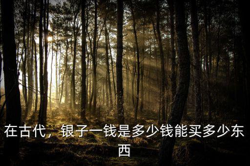 在古代，銀子一錢是多少錢能買多少東西