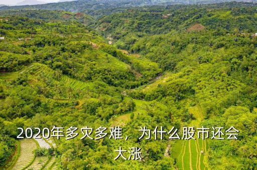 2020年多災(zāi)多難，為什么股市還會(huì)大漲