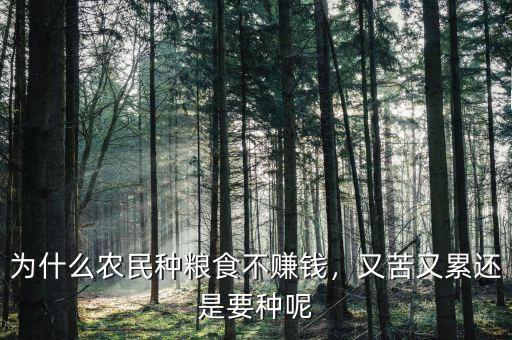 為什么農(nóng)民種糧食不賺錢，又苦又累還是要種呢