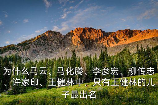 為什么馬云、馬化騰、李彥宏、柳傳志、許家印、王健林中，只有王健林的兒子最出名