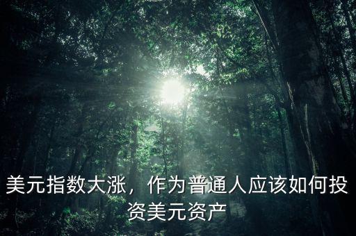 美元指數(shù)大漲，作為普通人應(yīng)該如何投資美元資產(chǎn)