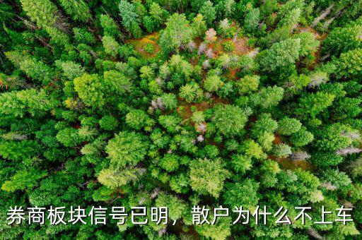 券商板塊信號已明，散戶為什么不上車