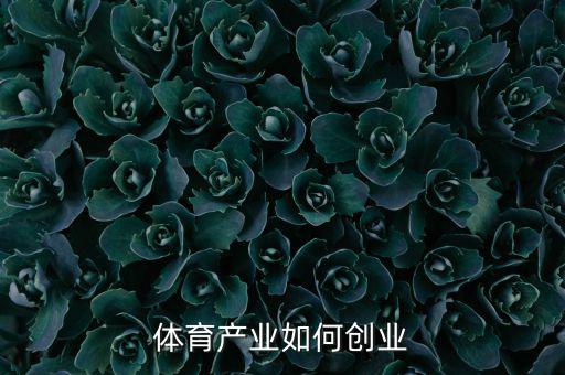 體育產業(yè)包括什么,體育產業(yè)如何創(chuàng)業(yè)