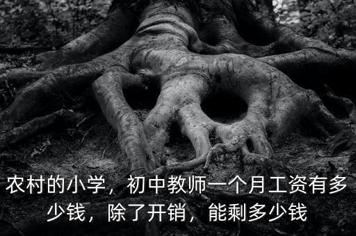 農(nóng)村的小學(xué)，初中教師一個月工資有多少錢，除了開銷，能剩多少錢