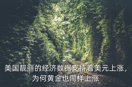 美國靚麗的經(jīng)濟數(shù)據(jù)支持著美元上漲，為何黃金也同樣上漲