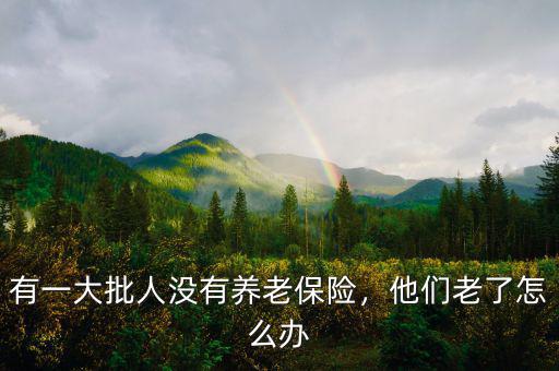 有一大批人沒(méi)有養(yǎng)老保險(xiǎn)，他們老了怎么辦