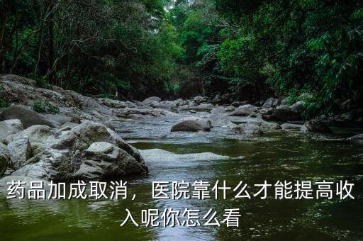 藥品加成取消，醫(yī)院靠什么才能提高收入呢你怎么看