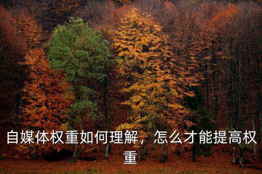自媒體權(quán)重如何理解，怎么才能提高權(quán)重