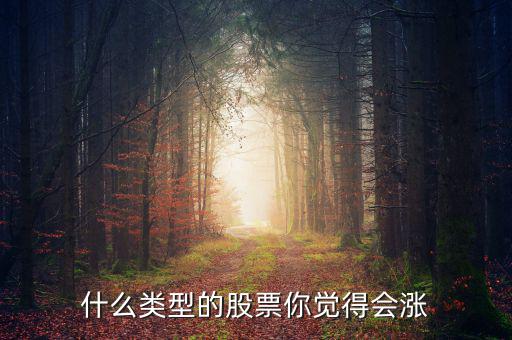 什么類型的股票你覺(jué)得會(huì)漲