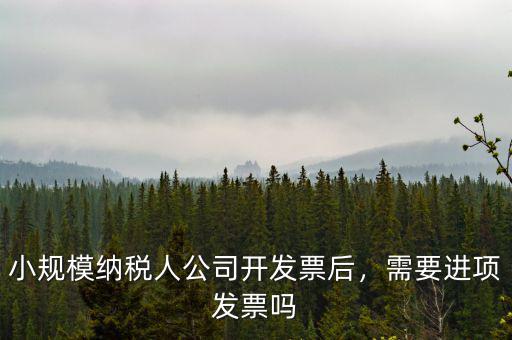 小規(guī)模納稅人公司開(kāi)發(fā)票后，需要進(jìn)項(xiàng)發(fā)票嗎